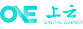 东兴市软件开发公司
